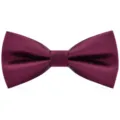 Nœud papillon bordeaux rayé pour homme mariage d'affaires formel et banquet. - Bordeaux