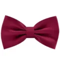 Noeud Papillon Homme Bordeaux Vin Rouge Mariage Formel Classique Uni Double Plat - Bordeaux