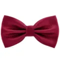 Nœud papillon texturé bordeaux pour homme, accessoire formel de mariage élégant et classique. - Bordeaux
