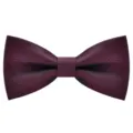Noeud papillon bordeaux homme pour mariage affaires elegante couleur unie style classique - Bordeaux