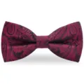 Nœud Papillon Paisley Bordeaux Homme Classique Double Couche Tête Plate Formel Chic - Bordeaux