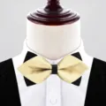 Goldene und schwarze Herrenfliege mit spitzem Design für elegante Hochzeitsanzüge. - Cooles Gold (P6012)