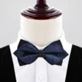 Men blue black plaid bow tie, classic groom wedding tuxedo formal neckwear accessory variant - Dark Blue Silver Dot (P6036)
