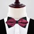 Wine red men pointed bow tie classic plaid wedding suit tuxedo formal neckwear accessory - Jujube Red Plaid (P6069)