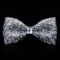 Silberne Kristall Strass Fliege für Herren, edle glänzende Schleife für Hochzeit Partys. - Glänzendes Silber