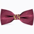 Farfalla da uomo bordeaux con fibbia dorata a ramo, elegante accessorio per matrimonio. - Bordeaux Rigato