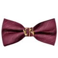 Farfalla da uomo bordeaux con fibbia a foglia d'oro, elegante accessorio per matrimonio. - Bordeaux Doppio Rigato