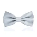 Silberne Seidenfliege Detailaufnahme, ideal fuer formelle Hochzeiten und Business Anzuege. - Silber
