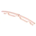 Roségoudkleurige metalen kraagstang voor heren overhemd kraagspeld stijl variante - Roségoud