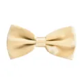 Close-up of golden silk bow tie texture, displaying smooth double layer and elegant formal style. - Champagne