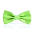 Vibrant green silk bow tie detail, smooth glossy satin fabric, elegant formal neckwear design. - Verdant