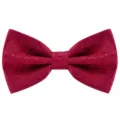 Nœud Papillon Bordeaux Homme Jacquard Élégant pour Mariage Affaires Formel Accessoire - Bordeaux