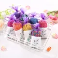 Sachets parfumés à la lavande colorés sacs de charbon actif pour voiture armoire ensemble. - Charbon de Bambou Cologne - Coloré