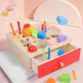 Montessori Holzspielzeug Steckspiel Formensortierer Lernspielzeug fur Kinder und Kleinkinder - Schubladen-Stil Box