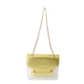 Stylish transparent crossbody bag with gold chain and elegant flap for women daily use. - Gold