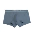 Calzoncillos bóxer de algodón peinado transpirable cómodo para hombre en variante azul oscuro. - L / Azul grisáceo
