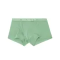 Cómodos bóxers de algodón para hombre con talle medio en un color verde fresco. - L / Verde
