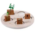 Modello di crescita del ciclo di vita delle piante in legno giocattolo educativo Montessori - Dachen stile piante