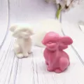 3D zittende konijn siliconen mal voor DIY aromatherapie kaarsen en bakken van taarten. - Konijn