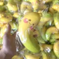 Detailansicht eines niedlichen Bananen-Squishy-Spielzeugs in einer Klarsichtverpackung - Lächelnde Banane