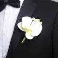 Detailansicht der weißen Orchideen-Ansteckblume, ideal für Hochzeitsanzug und Blumendekoration. - Phalaenopsis- & Beeren-Ansteckblume