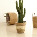 Detailed shot of an artificial cactus plant inside a natural woven straw flower pot for home decor. - Large Beige Planter (20cm Top, 19cm Height)