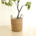 Nordic seagrass storage basket woven flower pot plant holder home decor natural material - Medium Solid Color Planter (30cm Top, 27cm Height)