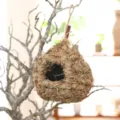 Handmade natural straw bird nest hanging pet breeding house woven birdhouse cage decoration details - Vanilla Nest 15x15