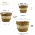 Woven seagrass flower basket storage pot in S M L sizes for rustic home decor and plants. - Corn Husk Set of 3 (Medium)