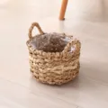 Handmade straw woven flower basket pot with plastic liner, natural home decor variant. - Style 1 Bulrush and Corn Husk Braid Top Opening 22cm with Handles 23cm