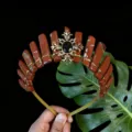 Primo piano dettagliato del diadema per capelli in cristallo rosso fatto a mano con metallo. - Stile Dea Girasole Oro Diaspro Rosso / Rosso