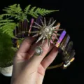 Natural crystal crown headband with sun goddess starburst and pearl charm for women festival party - Dark Purple Gold Sun
