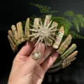 Primer plano detallado de la diadema de corona de cristal natural con colgante de sol. - Unakita + Perla Artificial Dorada Diosa del Sol