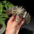 Hermosa corona de tiara de cristal de cuarzo ahumado diadema diosa del sol para fiesta. - Cuarzo Ahumado + Perla Artificial Dorada Diosa del Sol