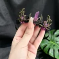 Gothic crystal headband with purple quartz and crescent moon for women party and photo shoot - Moon Branch Crown Headband / Light Purple (Light Purple Crystal)