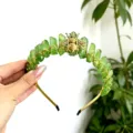Green crystal crown headband detail, handmade gemstone hair hoop with golden bee ornament for women. - Green With Gold Bee