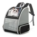 Breathable mesh pet carrier backpack for cats and small dogs, perfect for travel and hiking. - Black