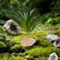 Support de plante aérienne en cristal avec quartz rose et mousse pour décoration. - Quartz Rose + Herbe Artificielle
