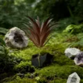 Décoration de plante d'aquarium artificielle avec fond de mousse et de cristal en détail. - Obsidienne + Herbe Artificielle