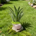 Planta suculenta artificial realista con base de cristal y musgo, ideal para acuarios. - Cuarzo Rosa + Hierba Artificial
