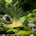 Vue détaillée de la plante aérienne créative et du cristal jaune sur de la mousse. - Citrine + Herbe Artificielle