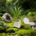 Vue détaillée d'une plante aquatique artificielle avec base en cristal pour aquarium. - Cristal de Roche + Herbe Artificielle