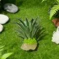 Primer plano detalle de planta suculenta artificial con base de cristal sobre musgo acuario - Citrina + Hierba Artificial