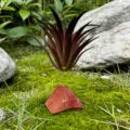 Décoration de plante aquatique artificielle avec socle en cristal rouge pour aquarium. - Quartz Pastèque + Herbe Artificielle