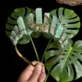 Natürlicher grüner Kristall Tiara Haarreif mit hohlem goldenen Mond für Damen Fotografie. - Amazonit-Stil