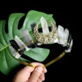 Handgemachte Kristallkrone mit goldenem Mond-Design, ideal für Festivals und besondere Anlässe. - Schwarzer Rutilquarz Stil
