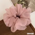 Großes rosa Organza Haargummi, elegantes transparentes Haaraccessoire für stilvolles Styling. - 3# Rosa