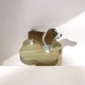 Statuina di cane in legno intagliato a mano con base a nuvola decorazione da scrivania - Cane