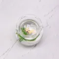 Miniatur Glas Fischglas Detailaufnahme, niedliches Mikrolandschaft Puppenhaus Zubehör mit Fischen. - Gelb