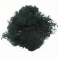 Preserved reindeer moss green plant material for micro landscape DIY home wall decor 60g - Green